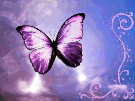 Dream