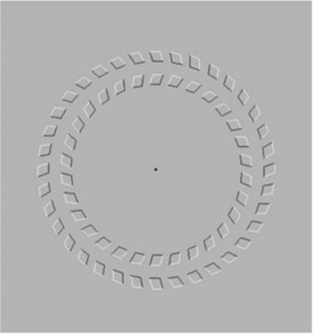illusion